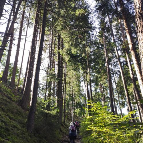 Es geht steil nach oben!