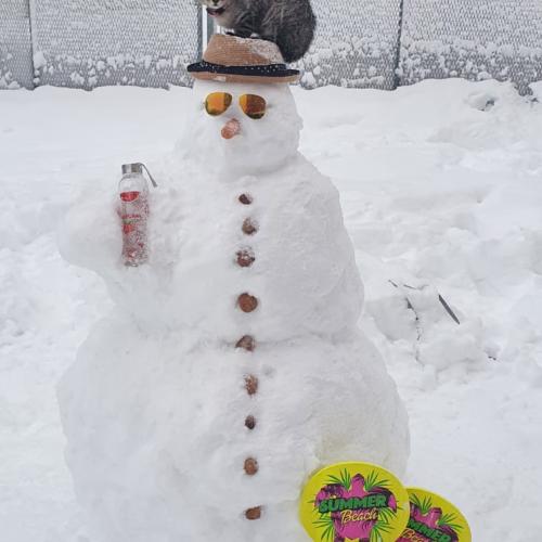 Schneemann von Olivia Cabel