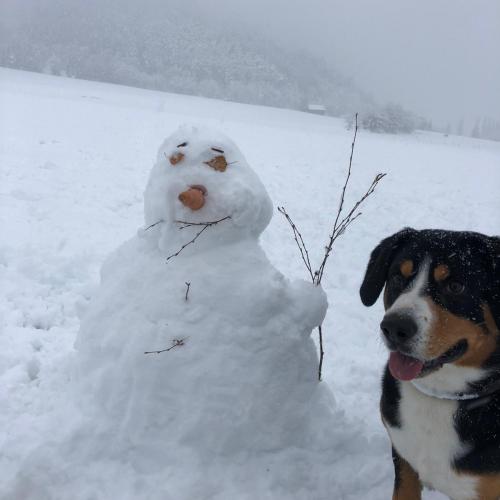 Schneemann Andre Oberherzog