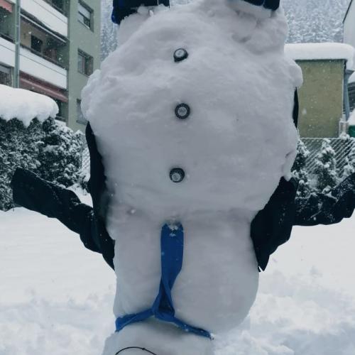 Schneemann von Gutjahr David