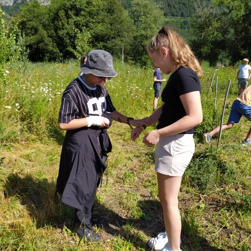 Bienenfeld-Exkursion