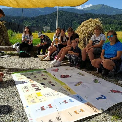 Bienenfeld-Exkursion