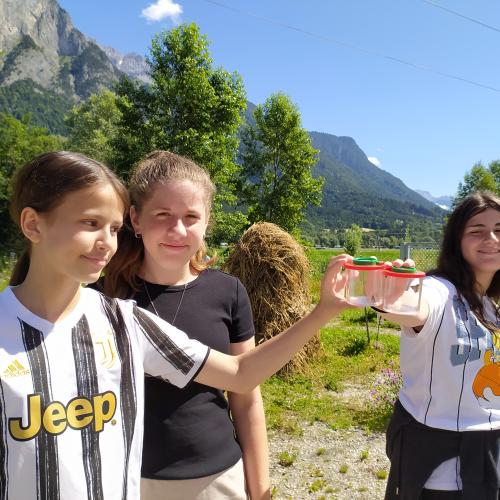 Bienenfeld-Exkursion