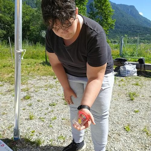 Bienenfeld-Exkursion