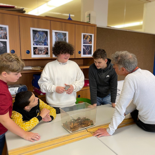 Natopia-Insekten-Workshop