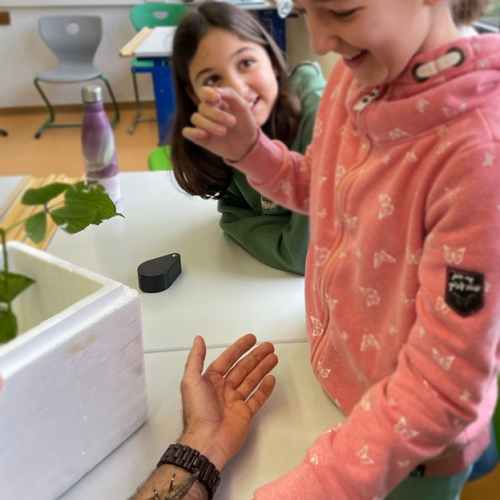 Natopia-Insekten-Workshop