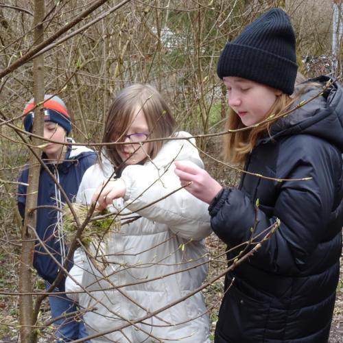 Natopia-Vogelforscherexkursion