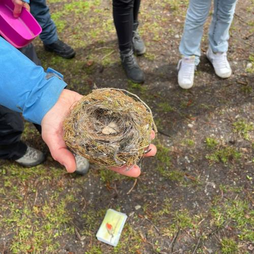 Natopia-Vogelforscherexkursion