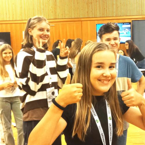 sal.z.i. Berufswelten