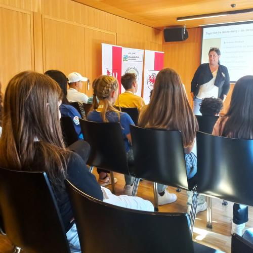 sal.z.i. Berufswelten