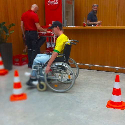 sal.z.i. Berufswelten