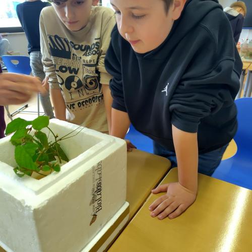 Kinder beugen sich über eine Transportbox mit Insekten.