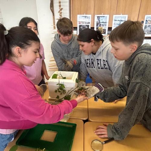 Kinder beugen sich über eine Transportbox mit Insekten.