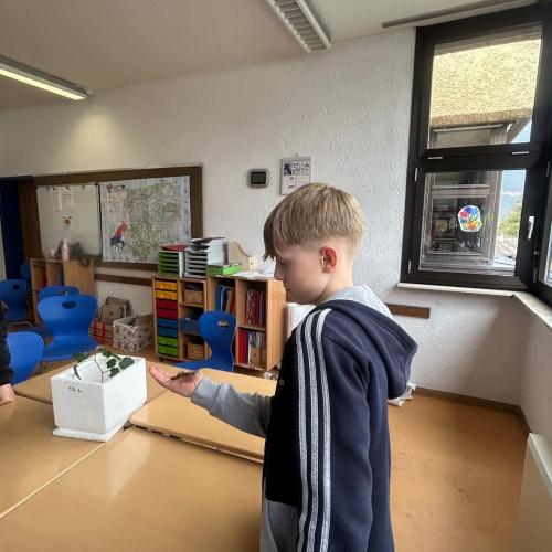 Kind mit Insekt auf der Hand