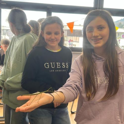 Kind mit Stabschrecke auf der Hand