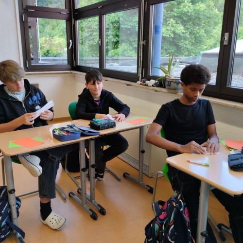 Sensibilisierung für psychosoziale Krisen und psychiatrische Notfälle