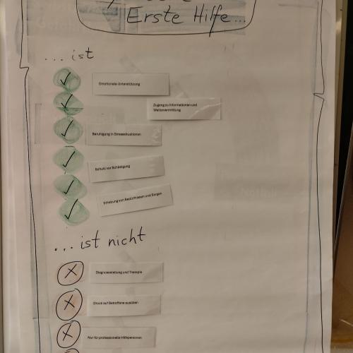 Sensibilisierung für psychosoziale Krisen und psychiatrische Notfälle