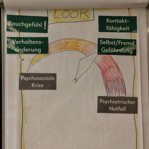Sensibilisierung für psychosoziale Krisen und psychiatrische Notfälle