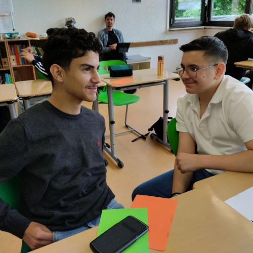 Sensibilisierung für psychosoziale Krisen und psychiatrische Notfälle