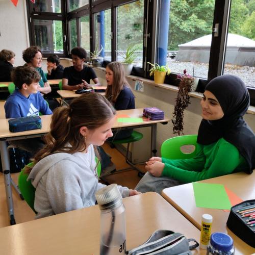 Sensibilisierung für psychosoziale Krisen und psychiatrische Notfälle