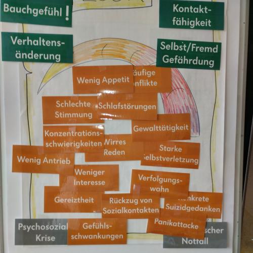 Sensibilisierung für psychosoziale Krisen und psychiatrische Notfälle
