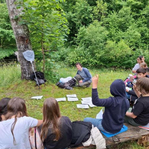 Wiederholung der Gruppen der Lebewesen