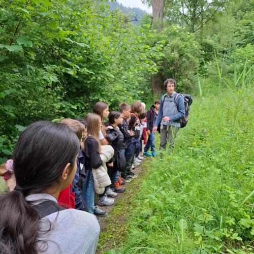 Schüler:innen werden zu einem Teich