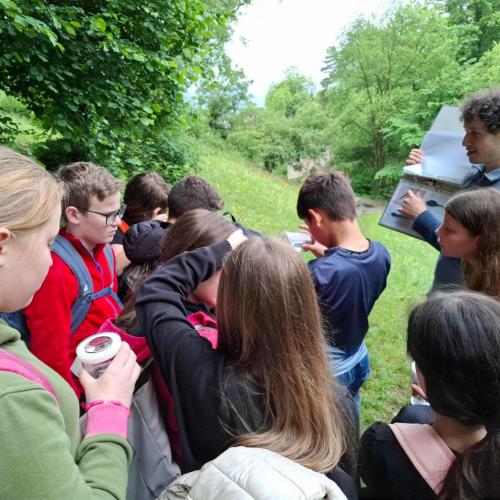 Schüler:innen betrachten Kaulquappen