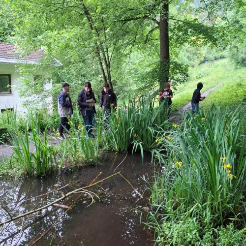 Schüler:innen am Teich