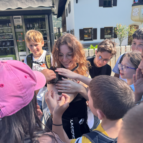 Delia Destro Katze 3