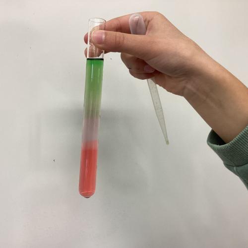 Kind mit Reagenzglas, in dem sich übereinander geschichtete Flüssigkeiten befinden.