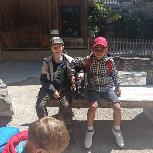 zoo4