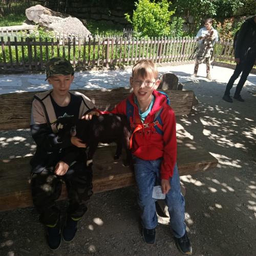 zoo13