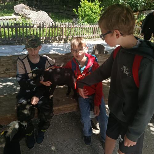 zoo8