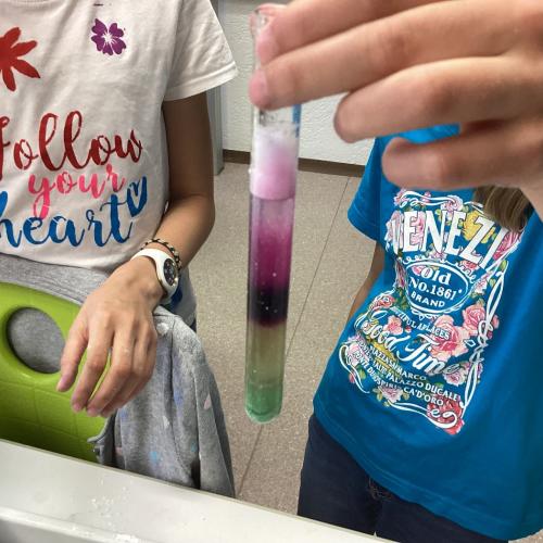 Ergebnisse der Mischversuche mit Blaukrautsaft und Haushaltsstoffen der Kinder