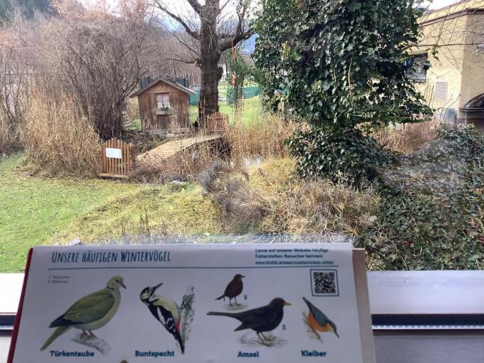 Vogelbeobachtung im Schulgarten