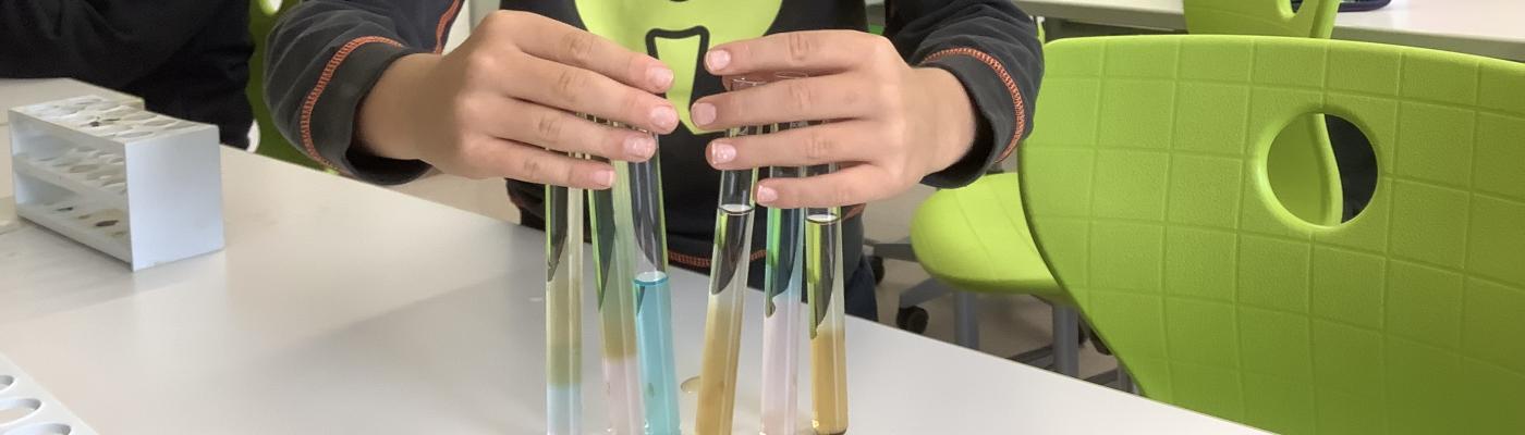 Viele Reagenzgläser mit vielen farbigen Schichten