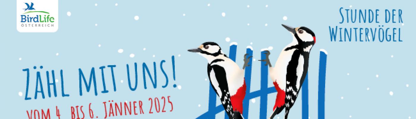 Logo „Stunde der Wintervögel“ vom Verein Birdlife