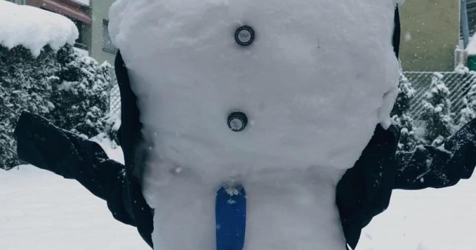 Schneemann von Gutjahr David