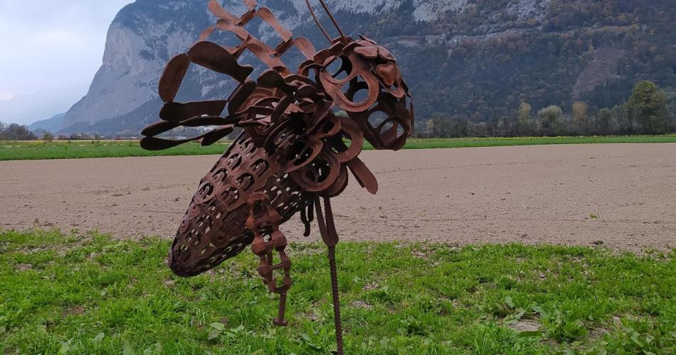 Exkursion zu Thereses Bienenfeld