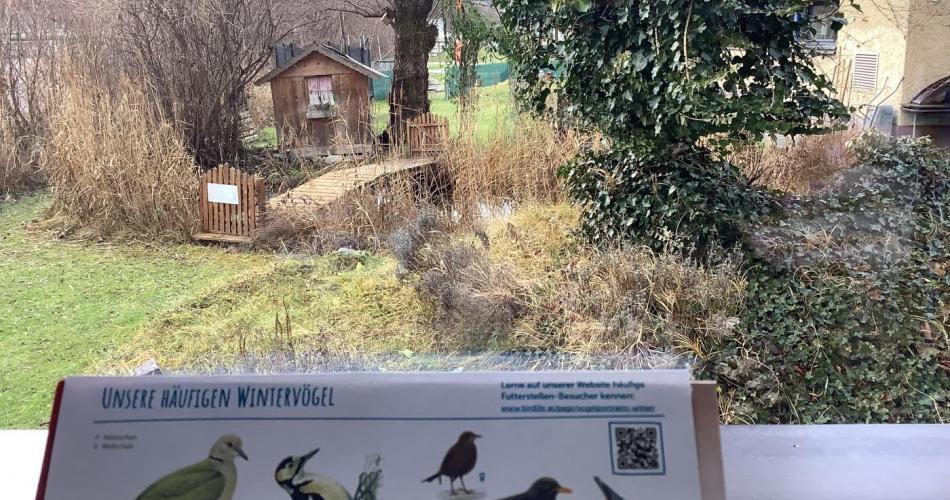 Vogelbeobachtung im Schulgarten