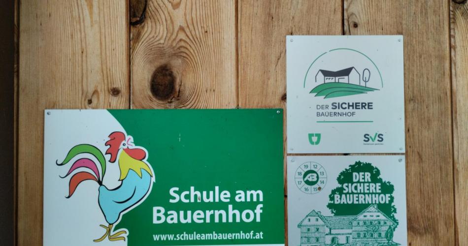 Bauernhofexkursion